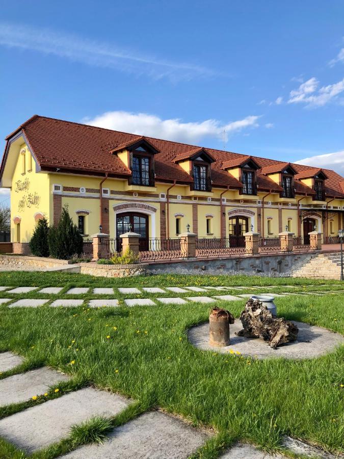 Hotel Kastely Grof Zichy Haniska Zewnętrze zdjęcie