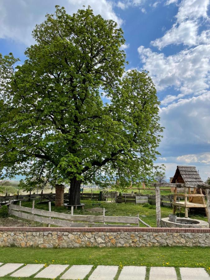 Hotel Kastely Grof Zichy Haniska Zewnętrze zdjęcie
